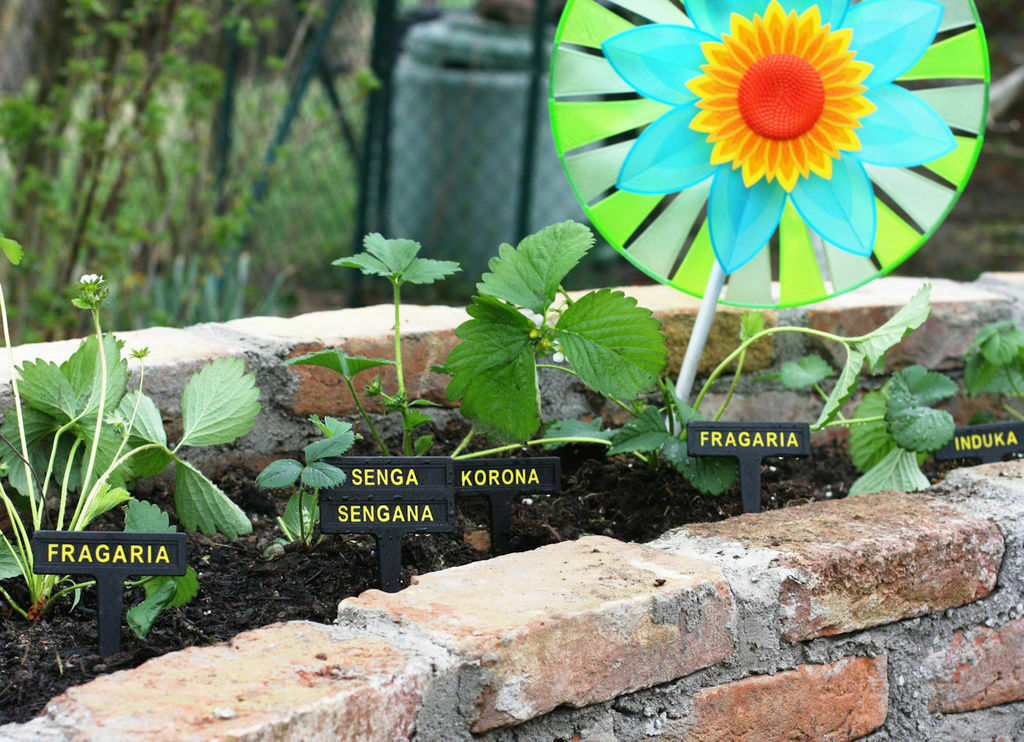 Free 3D file Modular Plant Tagging System 🌿 ・Design to download and 3D print・Cults