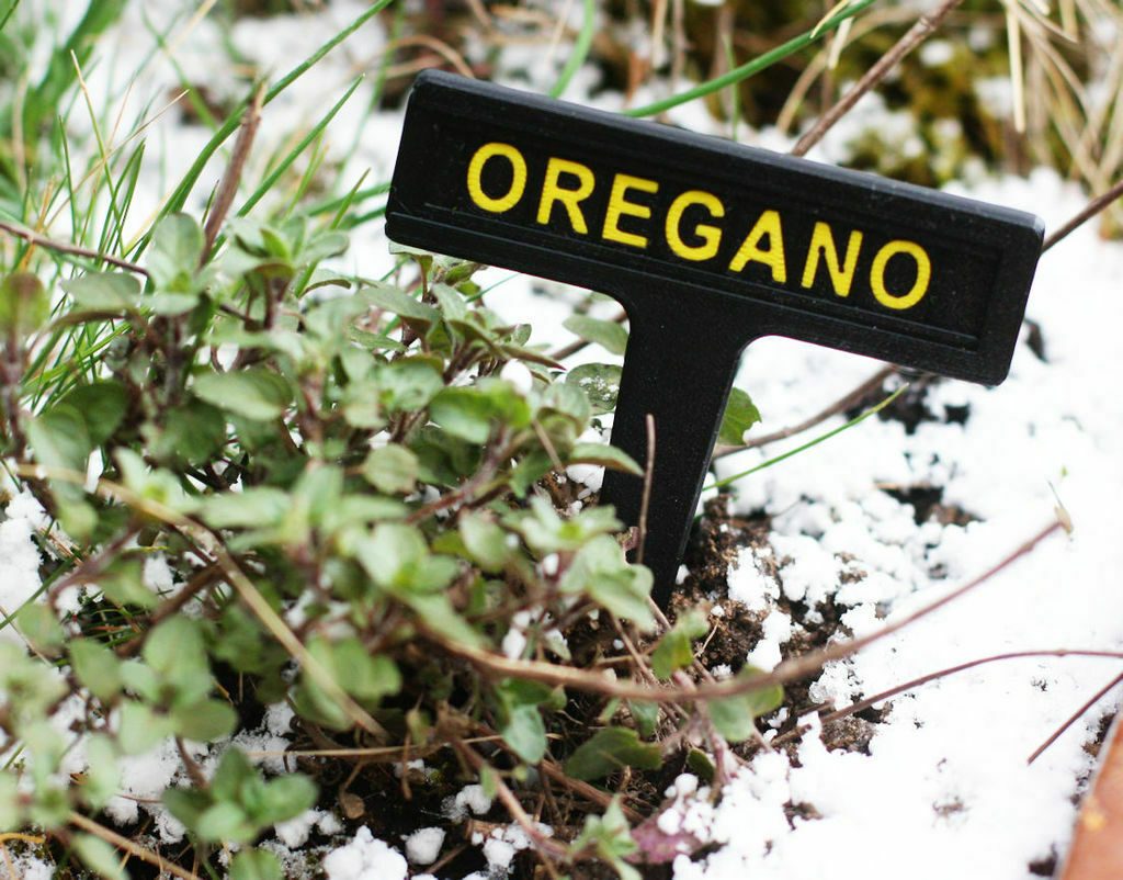 Free 3D file Modular Plant Tagging System 🌿 ・Design to download and 3D print・Cults