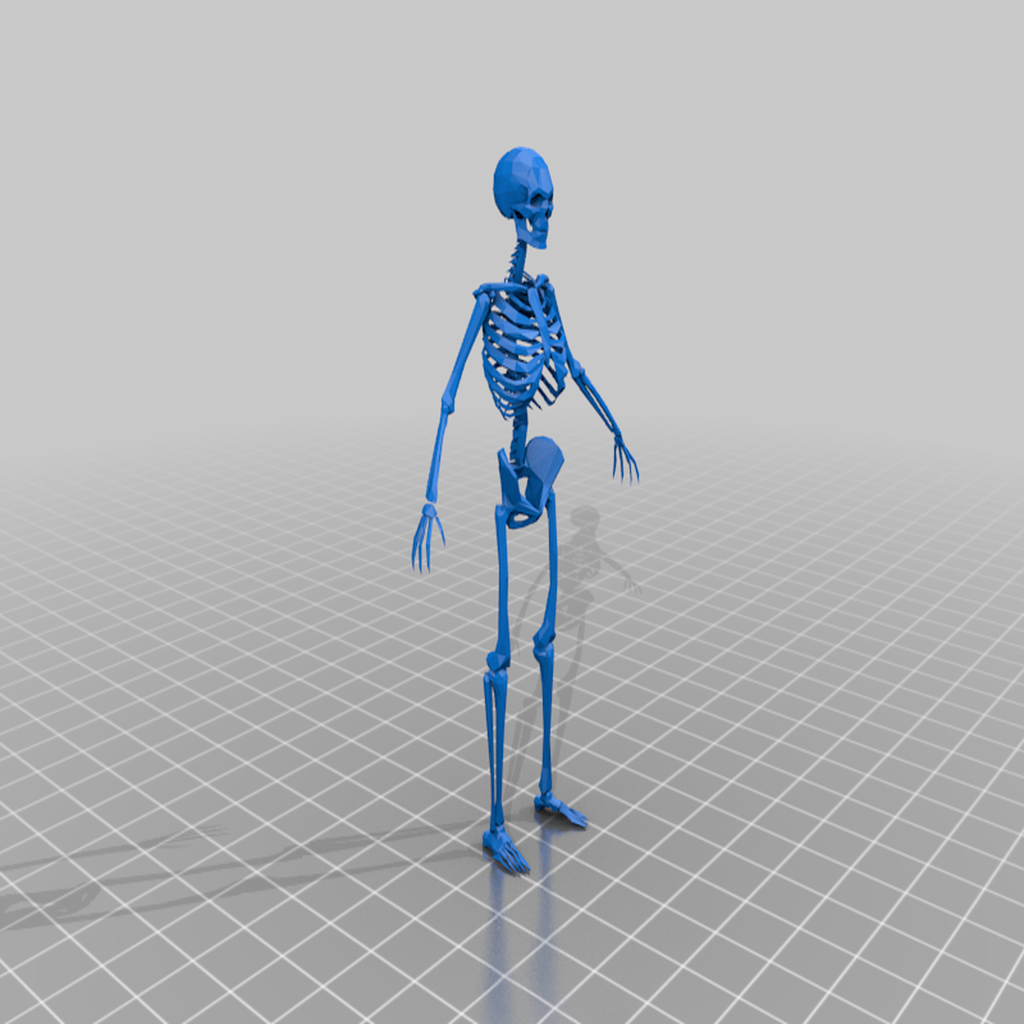 💀 Skeleton・Free 3D File for ・Cults