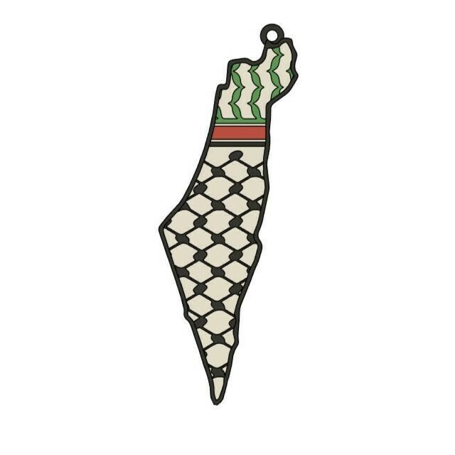 Schlüsselanhänger Mit Kurdistan-Karten-Motiv – Aus Edelstahl, Silber/gold, Ca. 3 X 2 Cm, Persönliches Accessoire