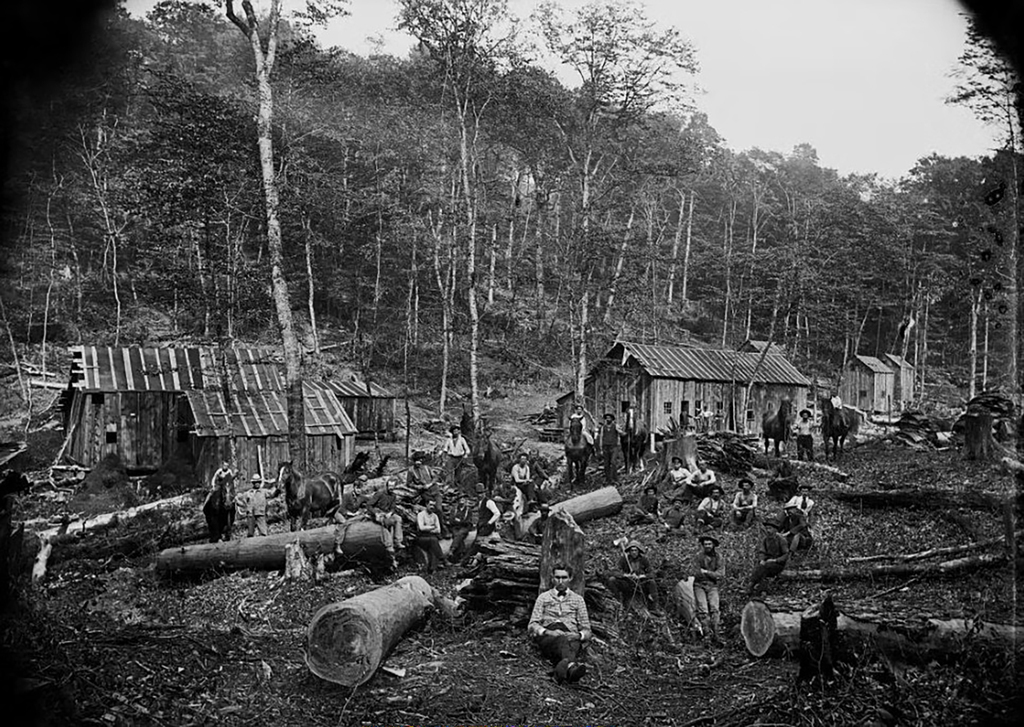 🏠 HOLZFÄLLERLAGER IM MASSSTAB 187 HO・Kostenlos 3D Datei für ・Cults