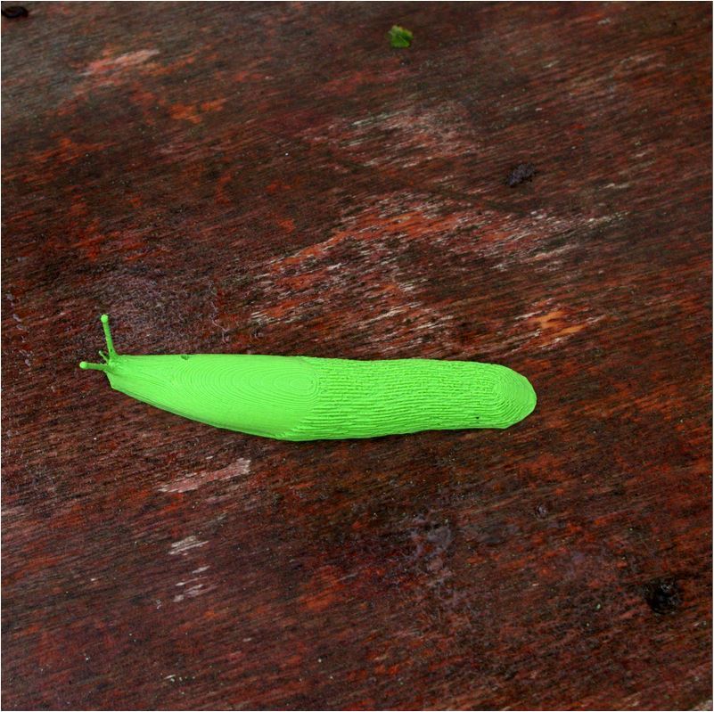 🎨 Slug・ STL File for ・Cults