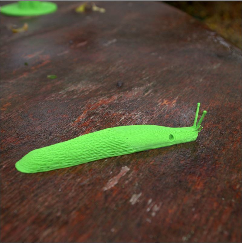 🎨 Slug・ STL File for ・Cults