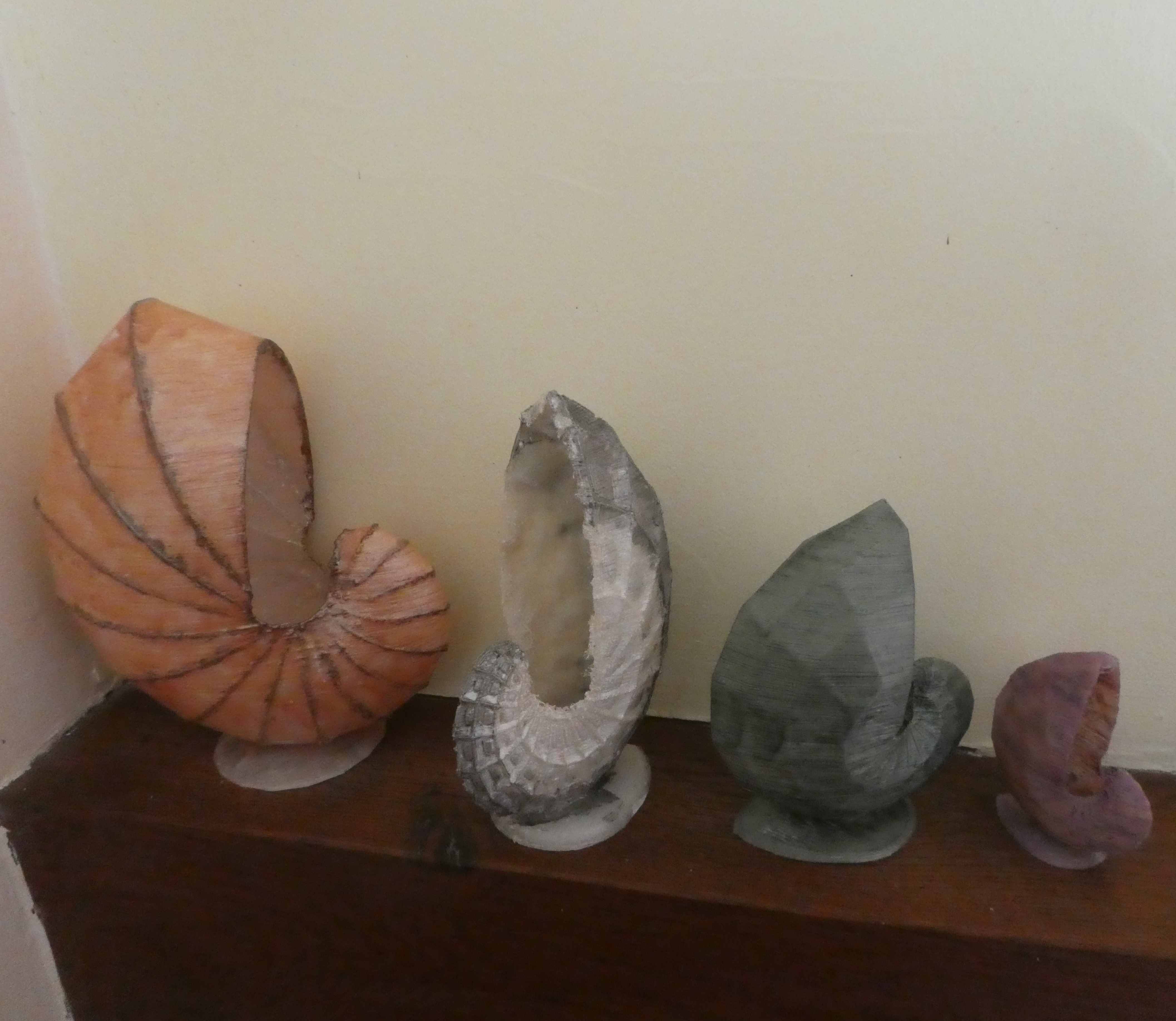 STL file Nautilus 🐚 ・3D printing model to download・Cults