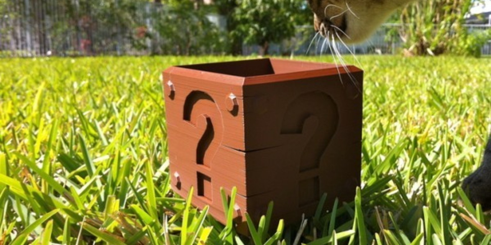 A surprise block of Super Mario in 3D