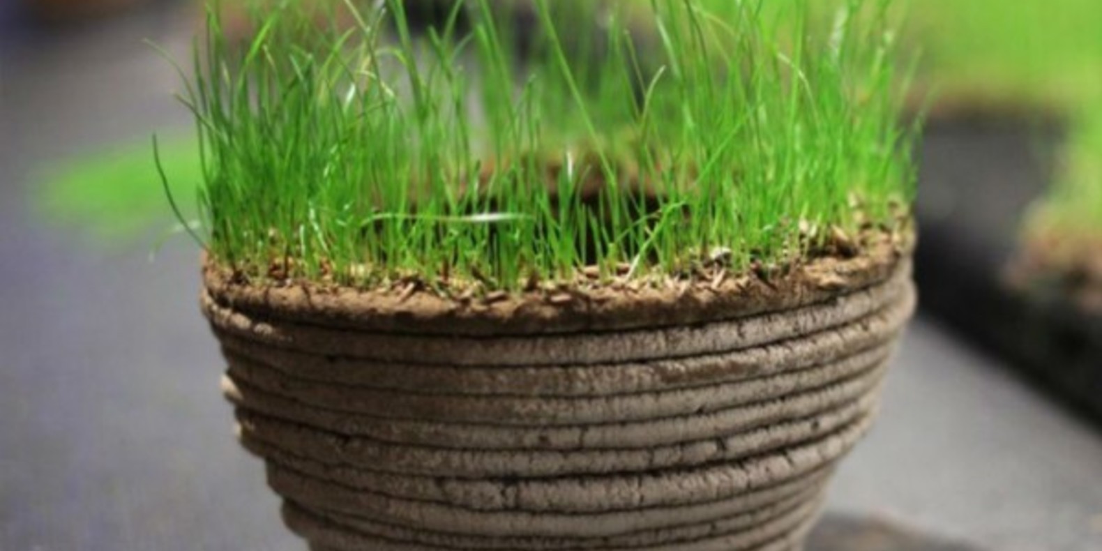 http://fichier3d.fr/wp-content/uploads/2013/12/print-green-jardin-imprime-en-3D-cults-3D-printing-grass-3-600x4531.jpg