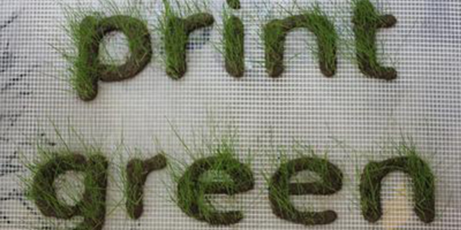 http://fichier3d.fr/wp-content/uploads/2013/12/print-green-jardin-imprime-en-3D-cults-3D-printing-grass-6.jpg