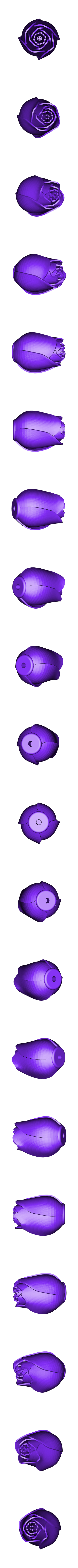 rose_close_small_v2.stl Rosas de Aniversario