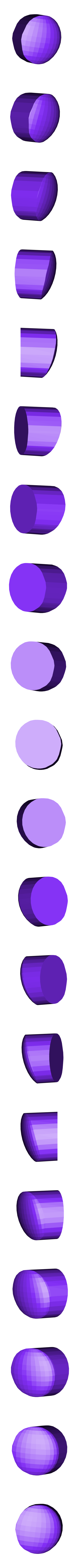 eye_black_right.stl Chapelier fou