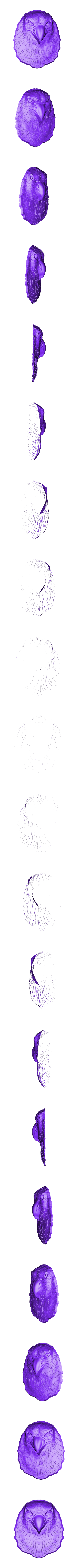 A011. Eagle Head.stl Eagle head