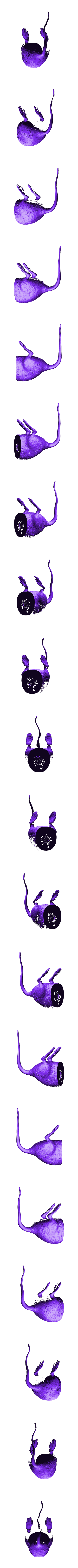 RattBuTT.stl Rat's A--