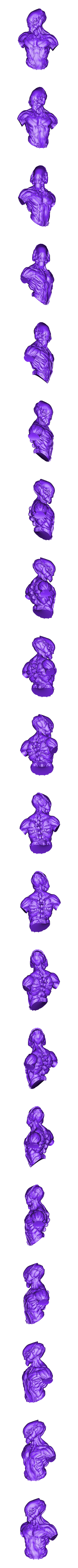 biomorph_bust.stl Buste bio morph
