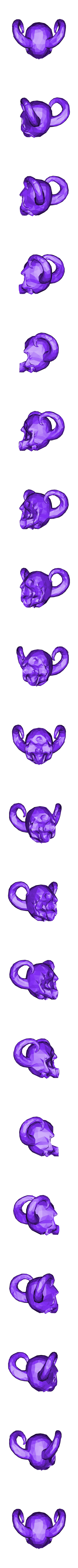 HornedskullLOWPOLY.stl Рогатый череп LOW POLY
