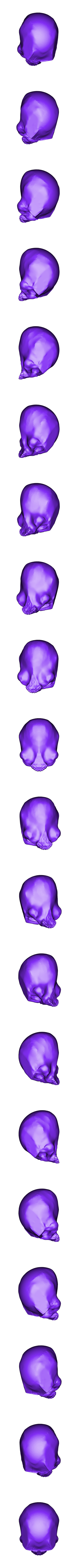 Skull_Scar.stl SKULL - SCAR