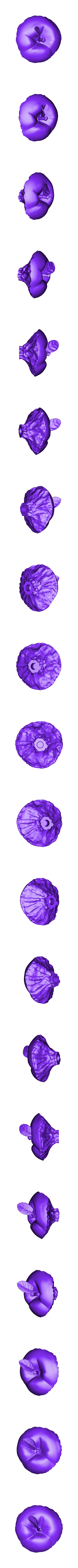 apple_top.OBJ New York City Skyline Apfel