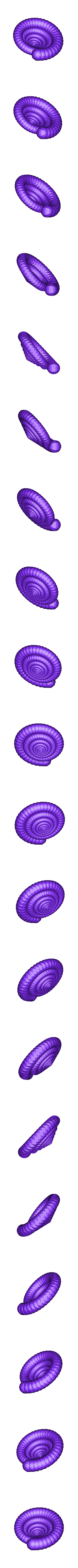 Ammonite_jpp_001_1.obj Ammonite