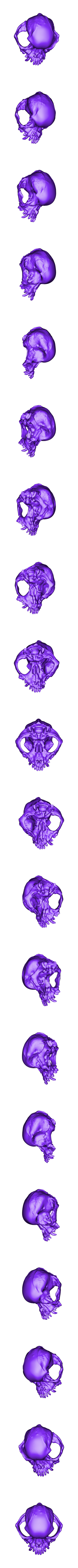 pug skull solid.stl Pug skull