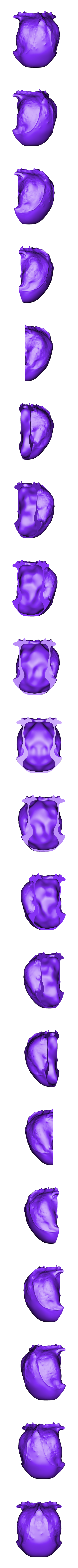 pug skull top back.stl Pug skull