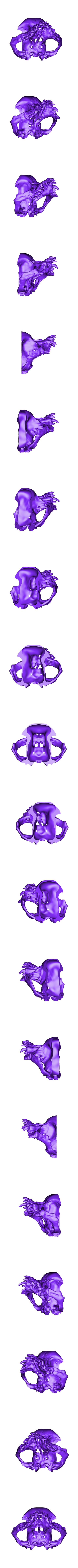 pug skull top front.stl Pug skull