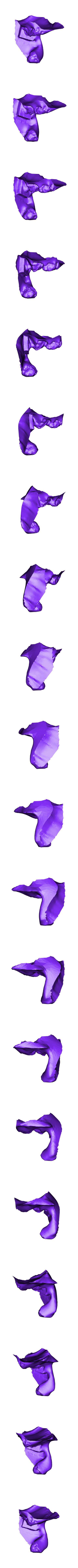 viewable_v4.stl Louise Brongniart