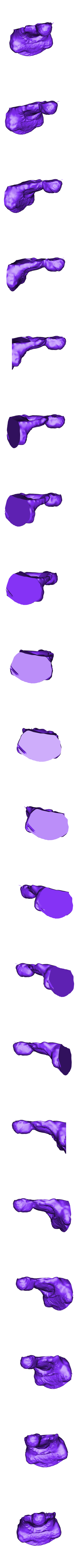 buddhaR.stl Bouddha (cadeau de mon père)