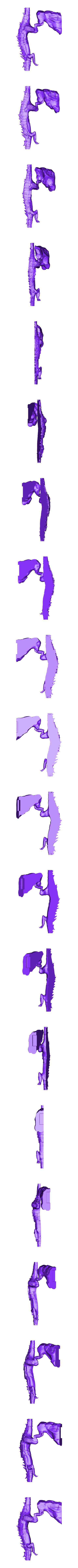 dragon_left_half.stl Dragon du soleil