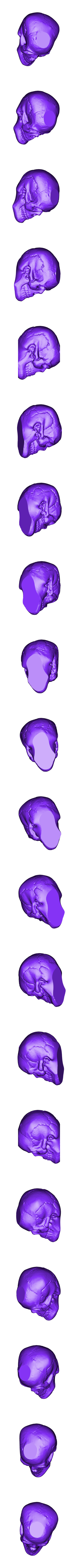 Skull.stl Skull