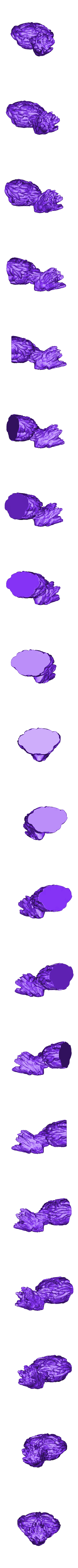 Low.stl Groot Bust Sculpture