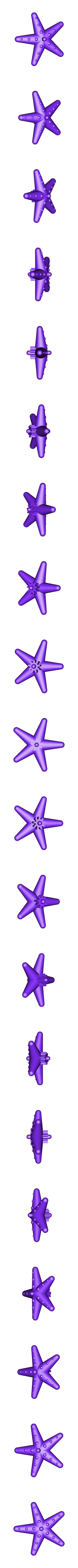 Starfish.stl Spinning Toy: Starfish, Sawfish, Shellfish