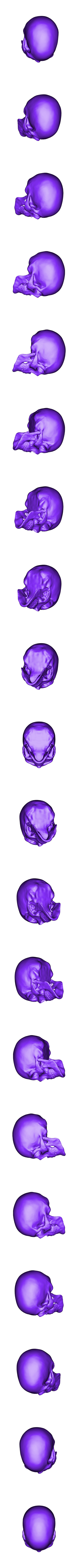 Skull_t.stl T-Rex sagt