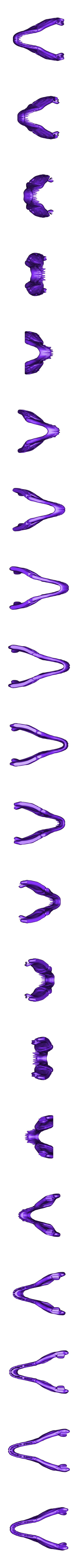 T-RexSkull_Jaw.stl T-Rex sagt