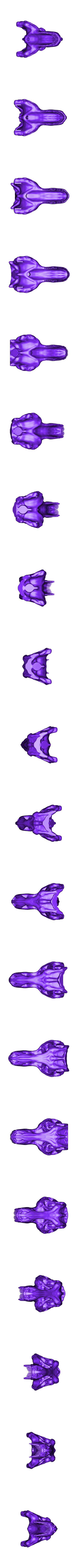 T-RexSkull_Skull.stl T-Rex sagt