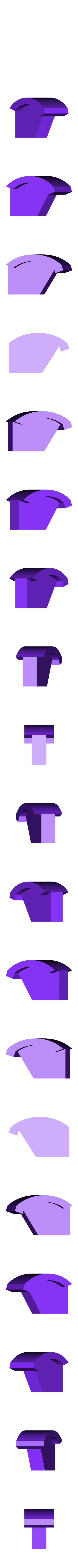 Forelimb_Prosthetics_paw.stl Forelimb prosthetics