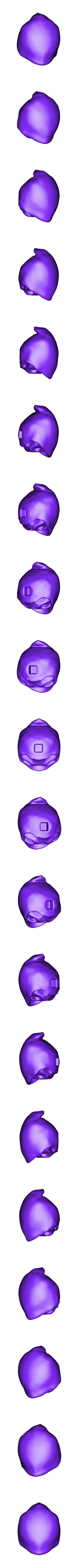 MicroPlaKit_Skeletor_HEAD_(NO_RING).stl Skeletor Masters of the Universe (MicroPlaKit Series)