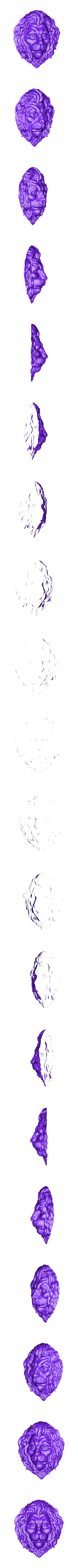 329.stl trauriges Löwengesicht