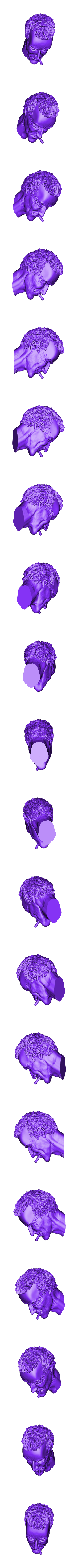 Vimes_head.stl Samuel Vimes - Scheibenwelt