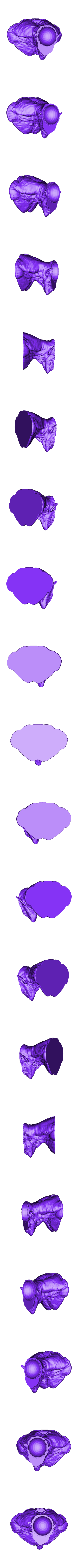 cuerpo 1.stl Grinder Devil (Moledora Diablo)