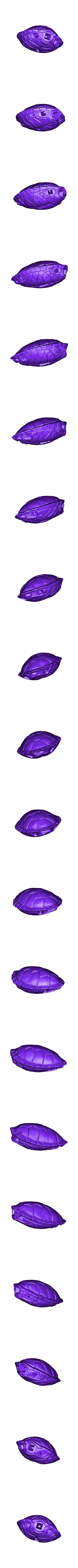 Turtle_1_copy1.obj Turtle