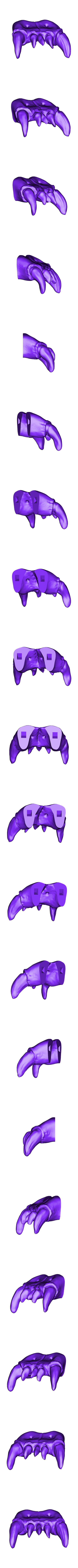 jaw front.stl Troll Skull