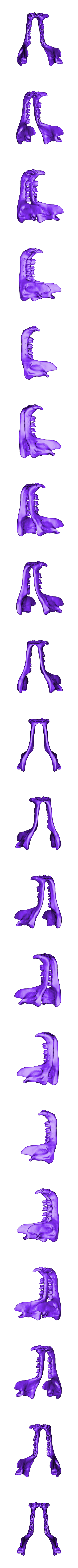 solid jaw.stl Troll Skull