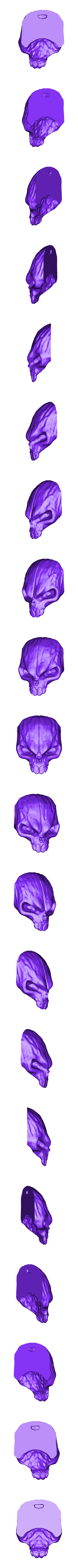 craneoprinter.OBJ Caveira