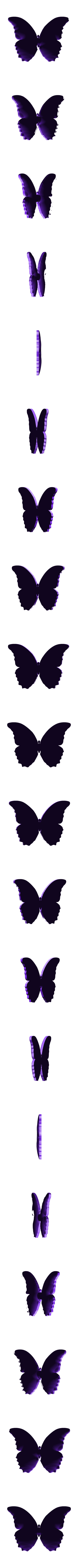 papillon 3.stl Mariposa