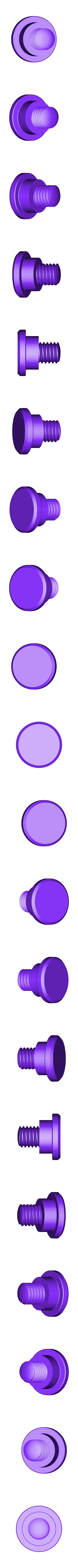 top_bolt.stl Swivel Trays