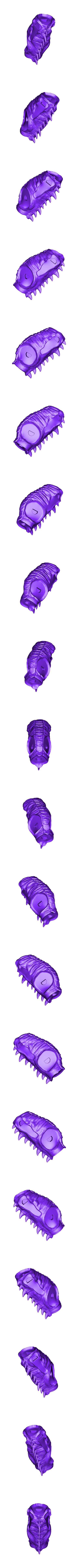 Forest_drake_body.stl Forest drake