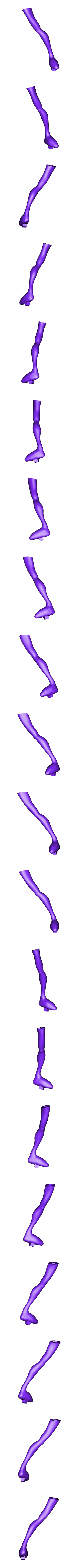 PiernaI PR.OBJ Minhoca Jim