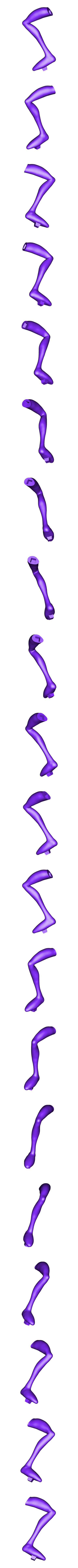 PiernaD PR.OBJ Minhoca Jim