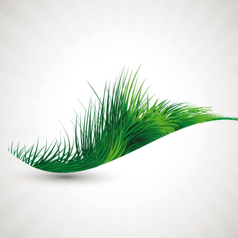 Cults3D profile picture for @graph